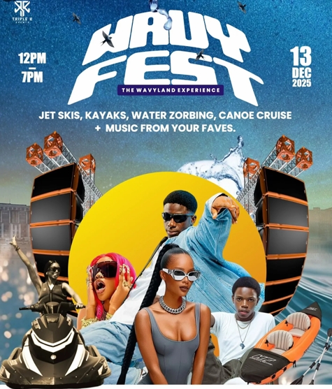 Wavy Fest: Wavy Land Experience